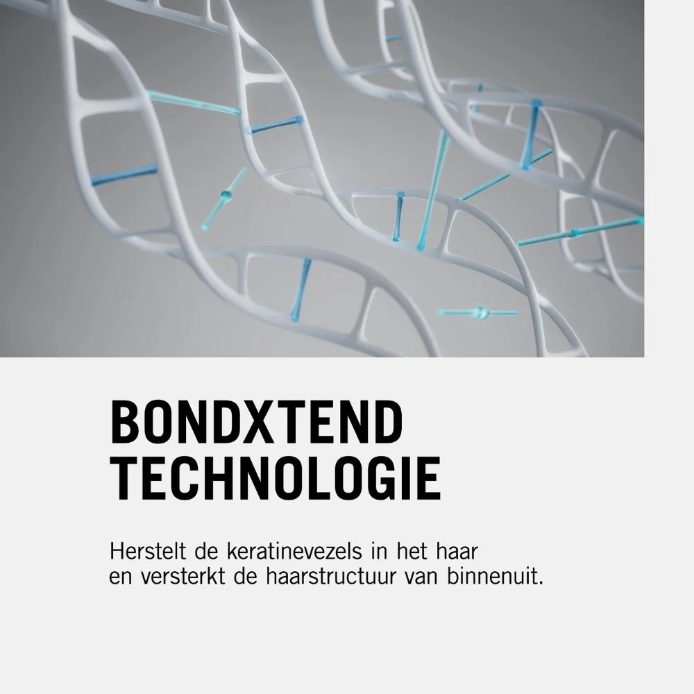 Fortify Conditioner - 250ml - Image 8